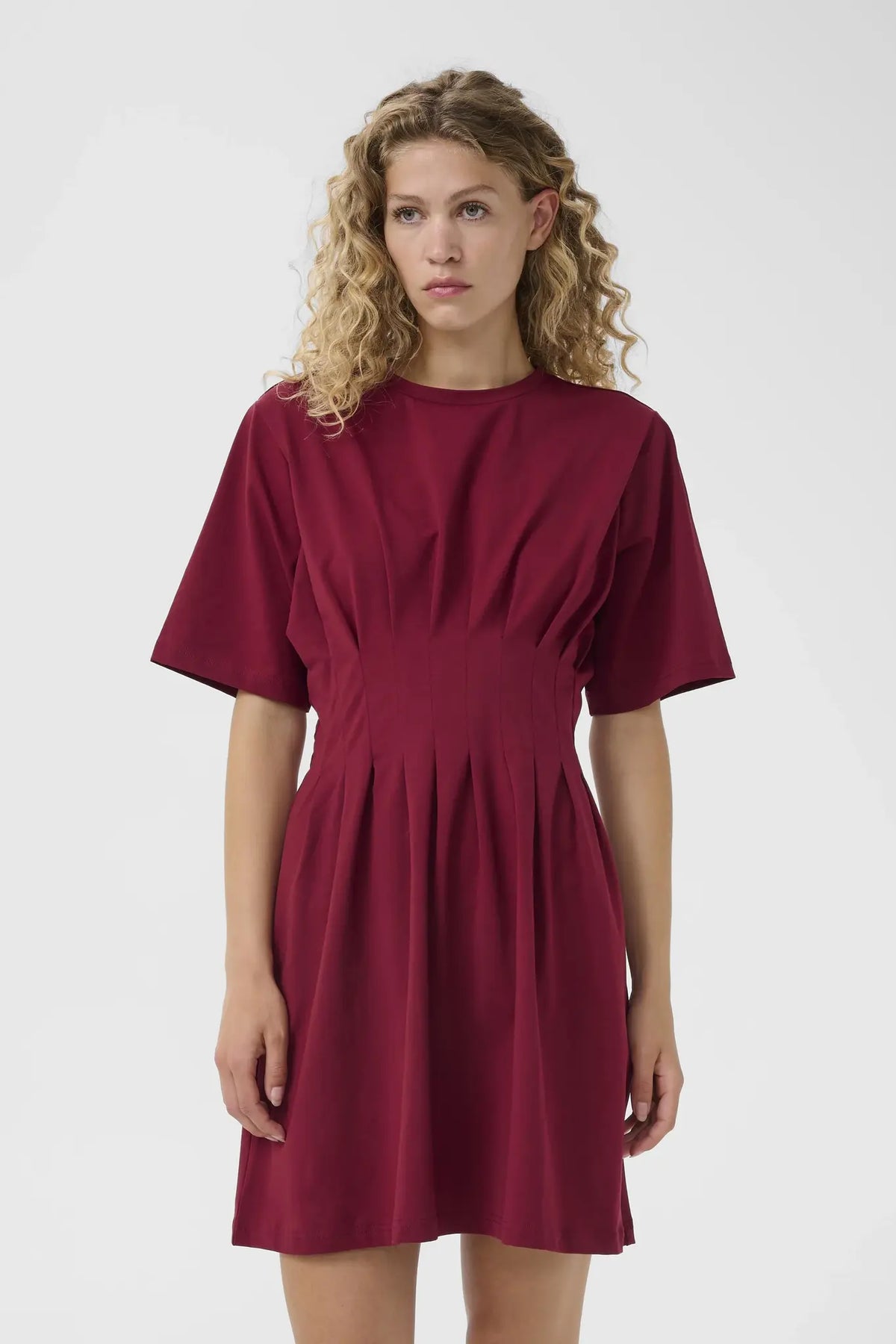 Inez short dress | Cabernet